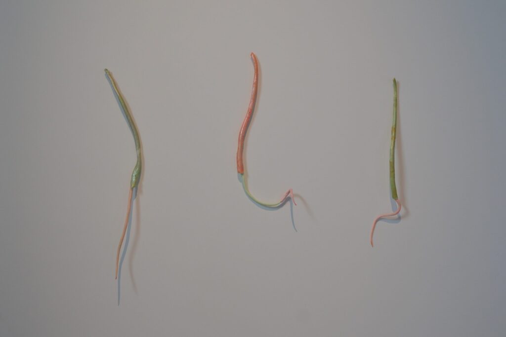 Claudia Di Francesco