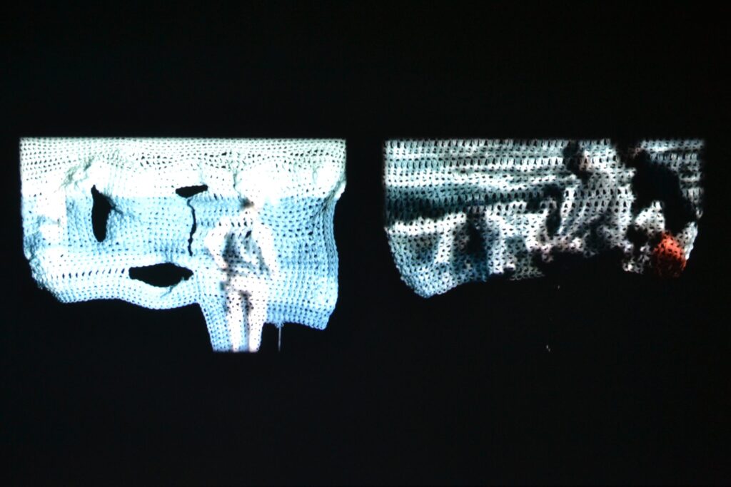 Zeroscena e Silvia Francis Berry